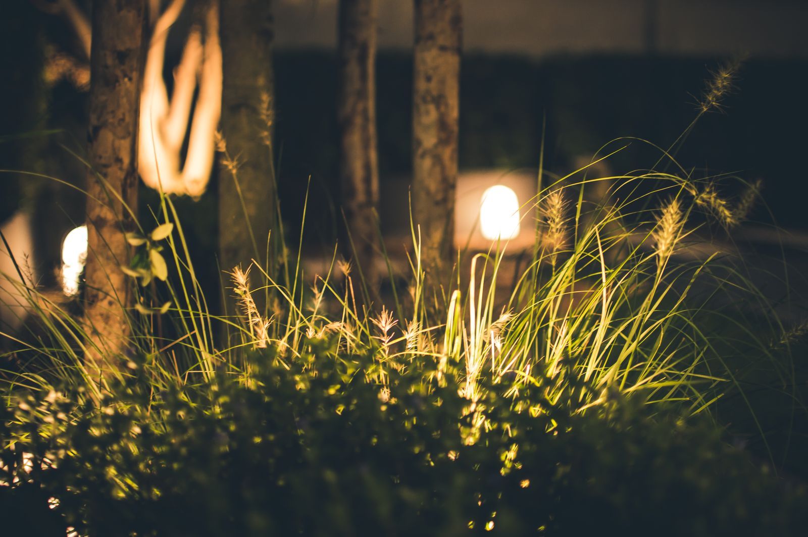 Warm low-voltage landscape lighting at night